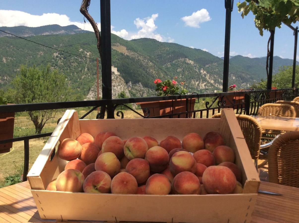 Appartement Clot De Felines Entrevaux Zewnętrze zdjęcie